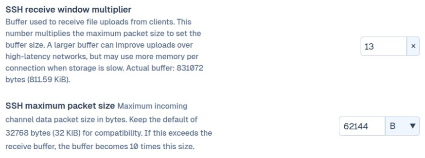 SFTPPlus MFT Web Manager SSH receive window and maximum packet size controls in light mode.