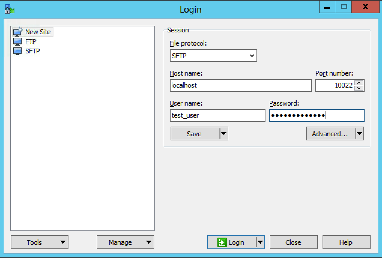 Initial account details for the SFTP service.