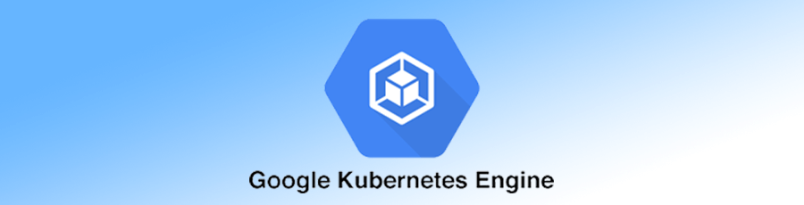 Google Identity Logo
